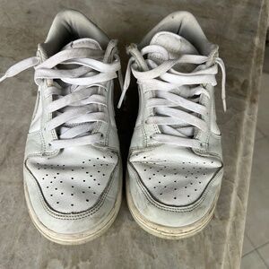 Nike Grey Fog Dunks Low Top